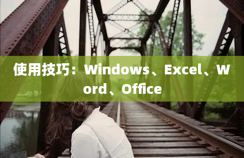 使用技巧：Windows、Excel、Word、Office