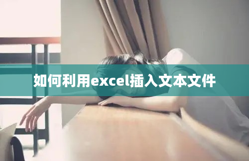 如何利用excel插入文本文件