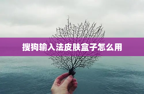 搜狗输入法皮肤盒子怎么用