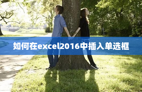 如何在excel2016中插入单选框