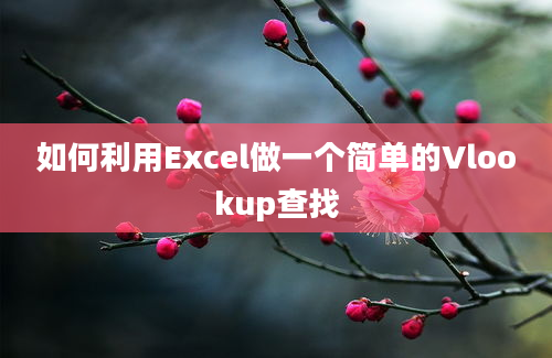 如何利用Excel做一个简单的Vlookup查找