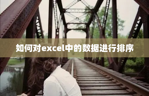 如何对excel中的数据进行排序