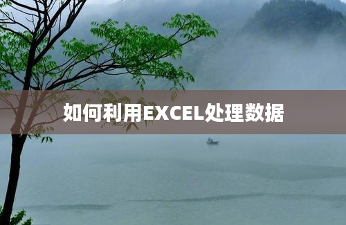 如何利用EXCEL处理数据