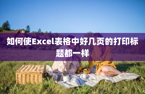 如何使Excel表格中好几页的打印标题都一样