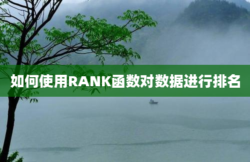 如何使用RANK函数对数据进行排名