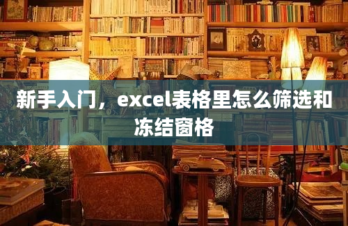 新手入门，excel表格里怎么筛选和冻结窗格