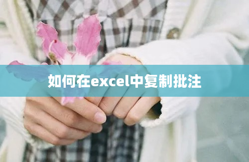 如何在excel中复制批注