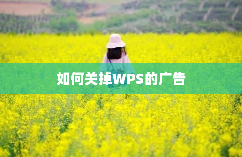 如何关掉WPS的广告