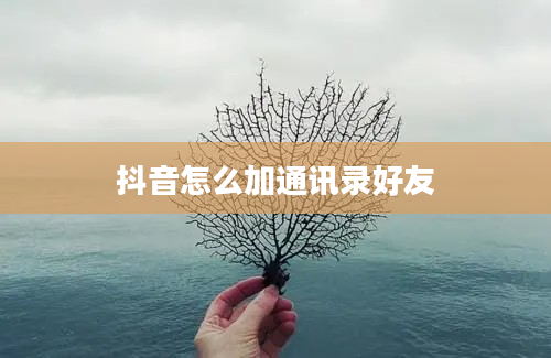 抖音怎么加通讯录好友