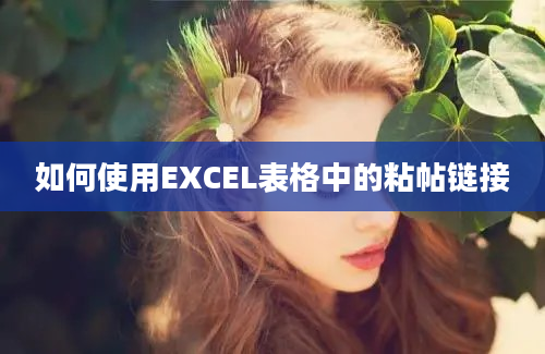 如何使用EXCEL表格中的粘帖链接