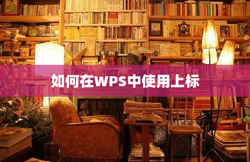 如何在WPS中使用上标