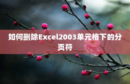 如何删除Excel2003单元格下的分页符