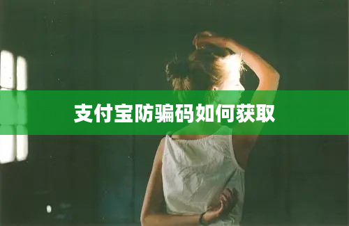 支付宝防骗码如何获取