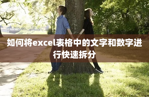 如何将excel表格中的文字和数字进行快速拆分