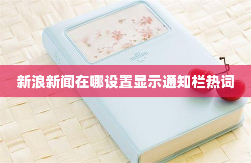 新浪新闻在哪设置显示通知栏热词