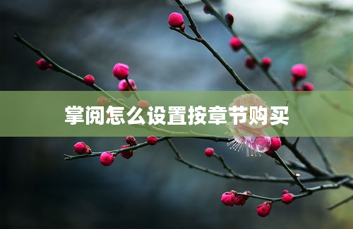 掌阅怎么设置按章节购买