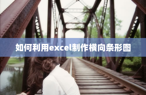 如何利用excel制作横向条形图