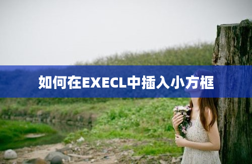 如何在EXECL中插入小方框