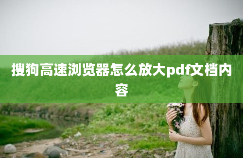 搜狗高速浏览器怎么放大pdf文档内容