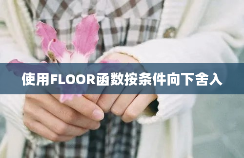 使用FLOOR函数按条件向下舍入