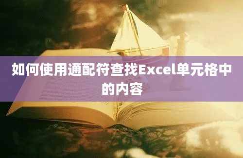 如何使用通配符查找Excel单元格中的内容