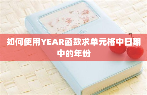 如何使用YEAR函数求单元格中日期中的年份