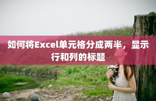 如何将Excel单元格分成两半，显示行和列的标题