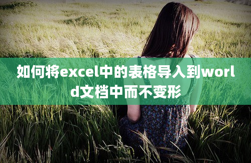 如何将excel中的表格导入到world文档中而不变形