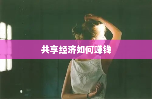 共享经济如何赚钱