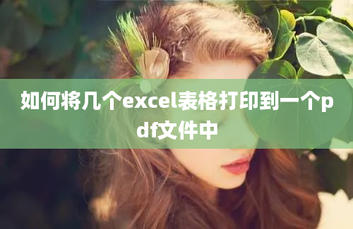 如何将几个excel表格打印到一个pdf文件中