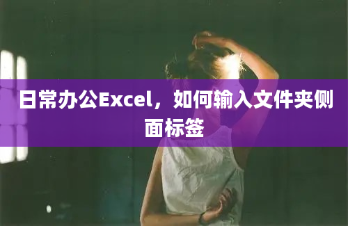 日常办公Excel，如何输入文件夹侧面标签