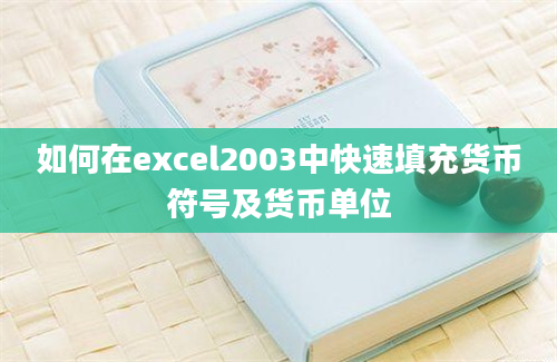 如何在excel2003中快速填充货币符号及货币单位