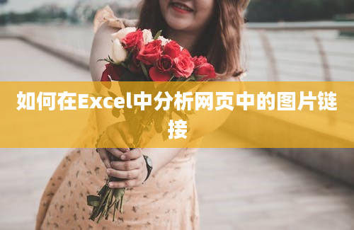 如何在Excel中分析网页中的图片链接