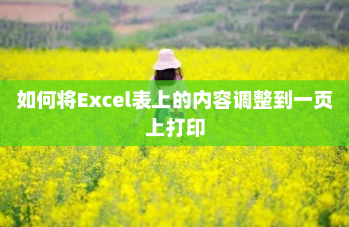 如何将Excel表上的内容调整到一页上打印