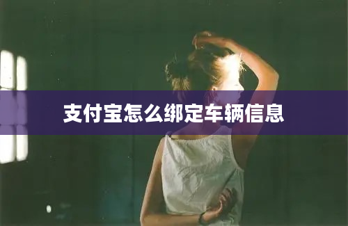 支付宝怎么绑定车辆信息