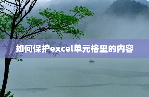 如何保护excel单元格里的内容