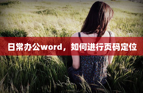 日常办公word，如何进行页码定位