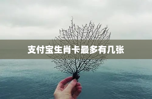 支付宝生肖卡最多有几张