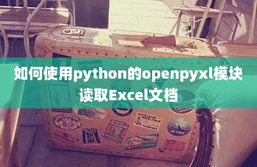 如何使用python的openpyxl模块读取Excel文档