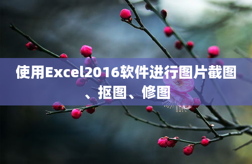 使用Excel2016软件进行图片截图、抠图、修图