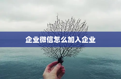 企业微信怎么加入企业