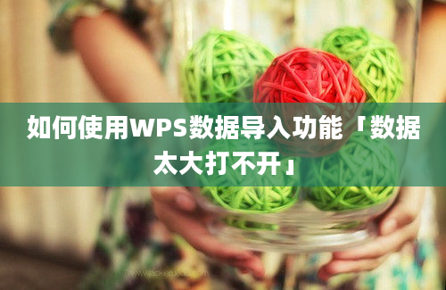 如何使用WPS数据导入功能「数据太大打不开」