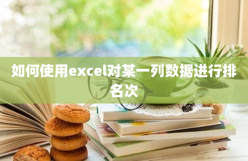 如何使用excel对某一列数据进行排名次