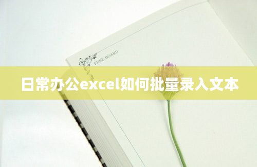 日常办公excel如何批量录入文本