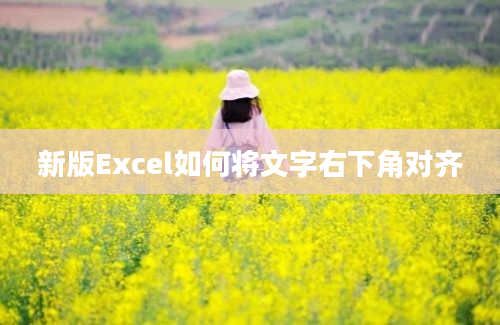 新版Excel如何将文字右下角对齐