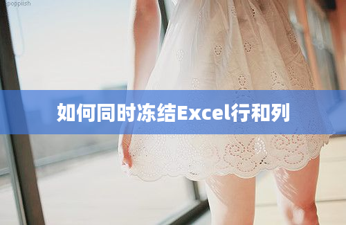 如何同时冻结Excel行和列