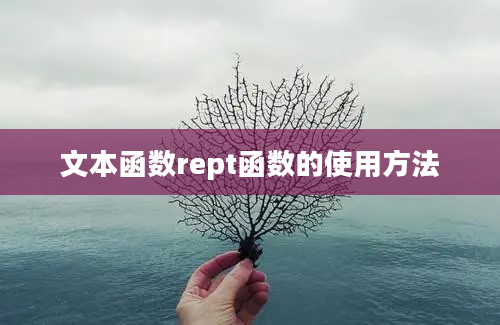 文本函数rept函数的使用方法