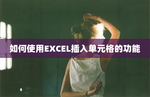 如何使用EXCEL插入单元格的功能