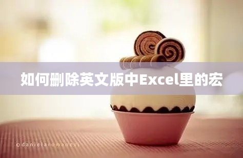 如何删除英文版中Excel里的宏