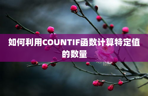 如何利用COUNTIF函数计算特定值的数量